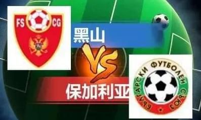 老司机免费在线视频